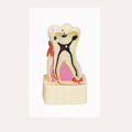 Dental Study Model  ġȯ  